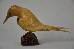 Stylized Tern